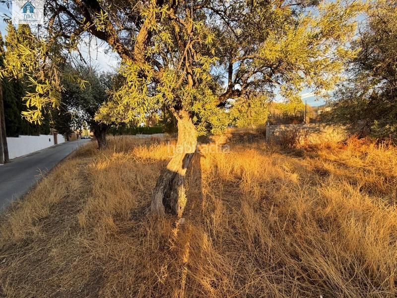 Foto db0766c3-77bf-4f72-8d6a-2cc282aa7850. Wohngrundstück in La Zubia Ciudad Zubia (La)