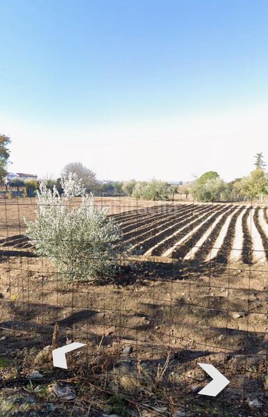 Foto 7261e7d8-a50e-4bb4-ae65-ca106b5ef8a7. Finca rústica a La Zubia Ciudad Zubia (La)