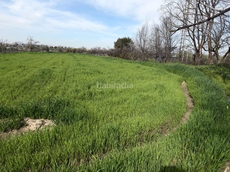Foto 9aa55837-ca21-411c-93cf-f5c71de1b689. Finca rústica a La Zubia Ciudad Zubia (La)