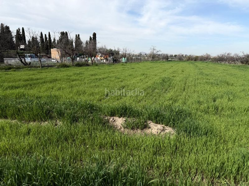 Foto be6f168a-9f8d-4de1-b8b1-6cbea0c3ae09. Finca rústica a La Zubia Ciudad Zubia (La)