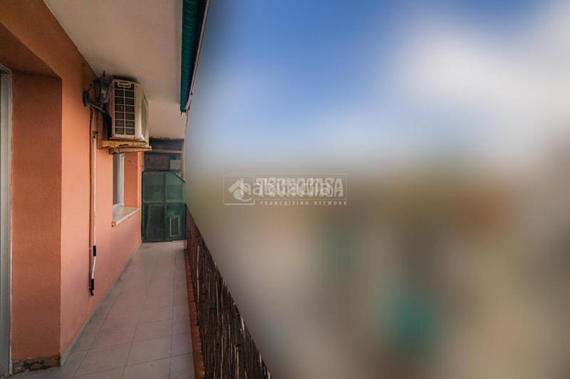Foto 0e6eea77-99ef-4fe4-94bb-cd91f04670a5. Pis a Sistrells Badalona