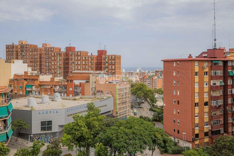 Foto 4c0d6804-2ae6-458e-b815-29cf46d13356. Pis a Llefià Badalona