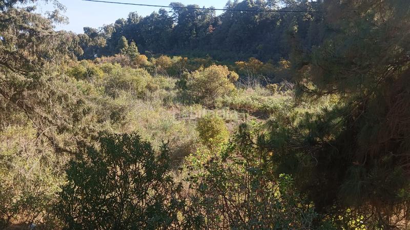 Foto 21f4ebeb-073b-4f58-b097-d7489ff980da. Finca rústica a Buen Paso - La Mancha Icod de los Vinos