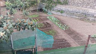 Fondo rustico in Icod de los Vinos pueblo