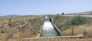Finca rústica a Artesa de Lleida. Finca con proyecto aprobado y pagado de cerdos de engorde .