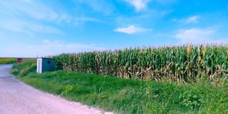 Propriété à Agramunt