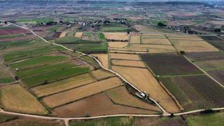 Finca rústica a Ivars d´Urgell. Finca de regadio en venta ivars de urgelll. lleida