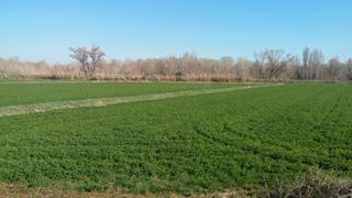 Fondo rustico in Delicias. Finca de regadio con pivots en valladolid