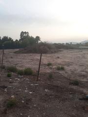 Lloguer Finca rústica a Alzabares alto 70 1027