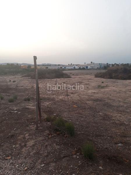 Foto 8e78f92a-af76-40fc-98d0-4d57f7849f44. Alquiler finca rústica en Alzabares alto 70 1027 en Elche / Elx