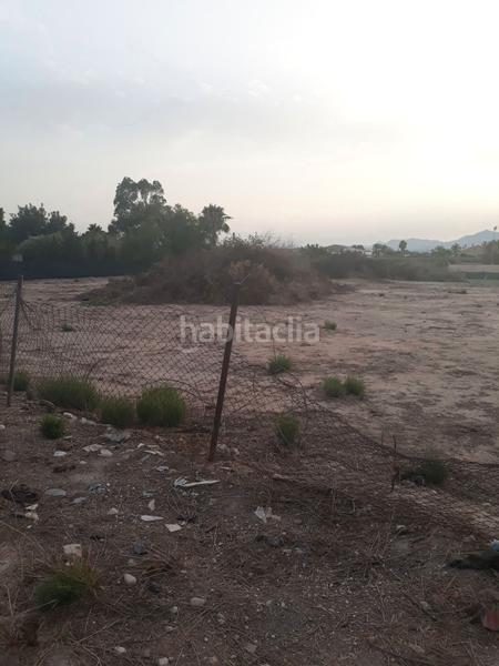Foto b71c64f4-17ef-44d7-9f5f-1a54c880d311. Alquiler finca rústica en Alzabares alto 70 1027 en Elche / Elx