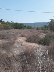 Finca rústica a Petrer. Venta