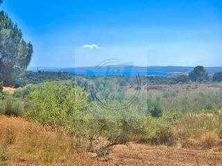 Maison dans Els Grecs-Mas Oliva. Rare! grand terrain 1ha, maison autonome, vue mer
