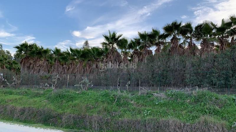 Foto 5558c049-0987-4d65-aad9-aea8738fdf5a. Finca rústica a n/a a Norte - Blanca Paloma Rota