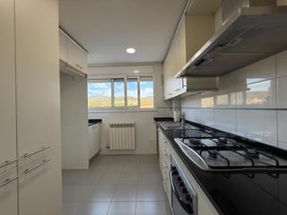 Flat  Avinguda de la lacetània