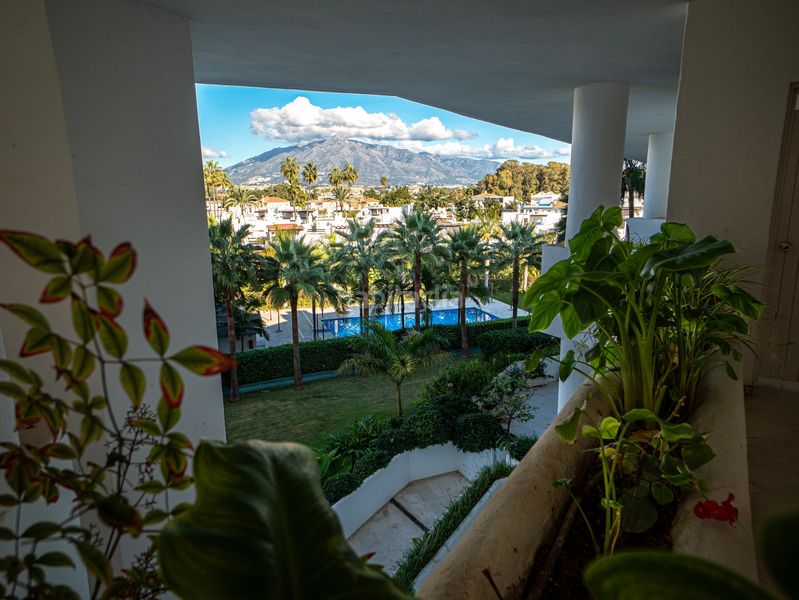 Foto 234605d6-aaea-41ef-b41b-87f861f1714a. Apartament amb calefacció aparcament piscina a Guadalmina Baja Marbella