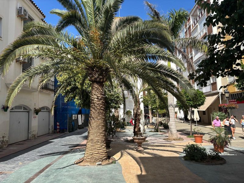Foto 5dc8ec29-0a8e-46b4-a96b-bf3f209c7eb0. Local comercial a Centro Estepona