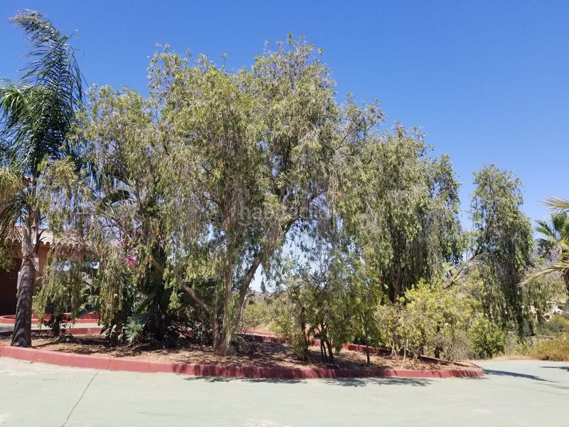 Foto 3b19c254-0619-4fbe-ae92-dbaf61472631. Casa amb aparcament piscina a La Cala Golf - Lagar Martell Mijas