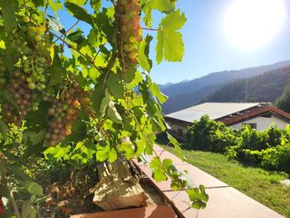 Casa in Genalguacil. Finca rural con vistas impresionantes, río, en la hermosa ladera