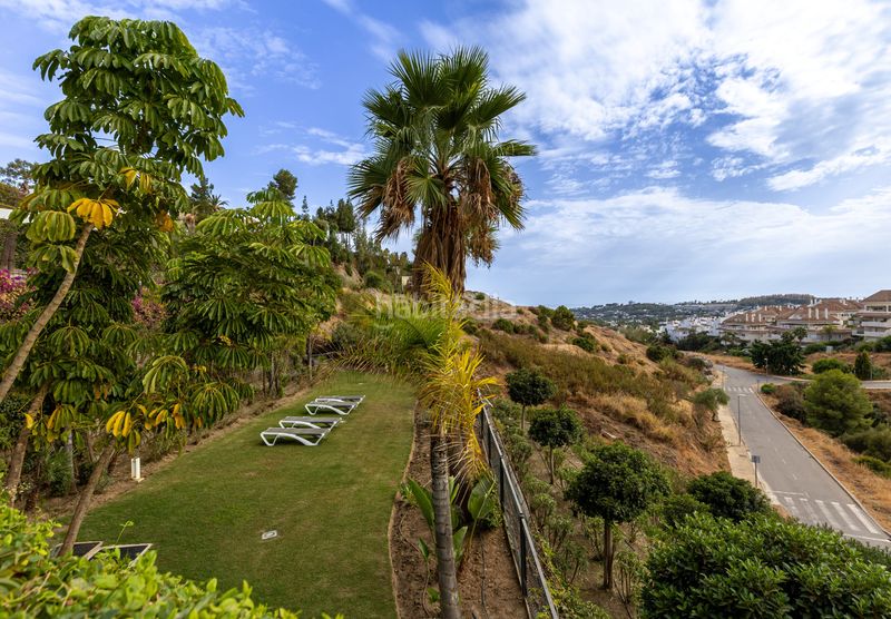 Foto 727f7516-de62-4595-9034-9cd7755071b1. Apartament amb aparcament piscina a Los Naranjos Marbella