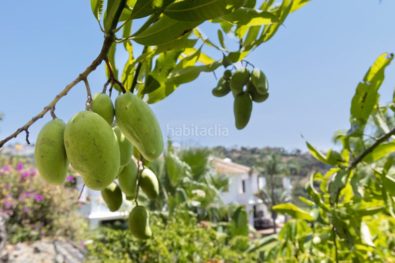 Foto e3e336c7-2c0f-451d-afc9-e9df431c0e7d. Casa amb calefacció aparcament piscina a los arqueros - puerto del almendro Benahavís