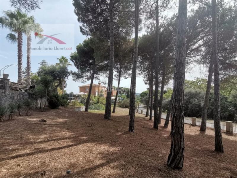 Foto 8801abdc-4392-4f24-a21c-2ba5e1a0b8ce. Haus mit heizung pool in Condado del Jaruco - Puigventós Lloret de Mar