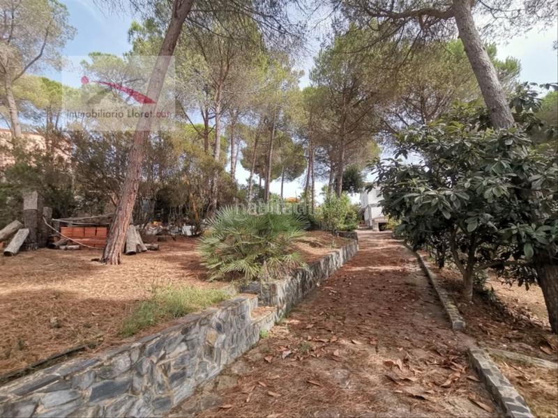 Foto c6c2a5e1-6fbe-4098-b0ed-661998995ad8. Haus mit heizung pool in Condado del Jaruco - Puigventós Lloret de Mar
