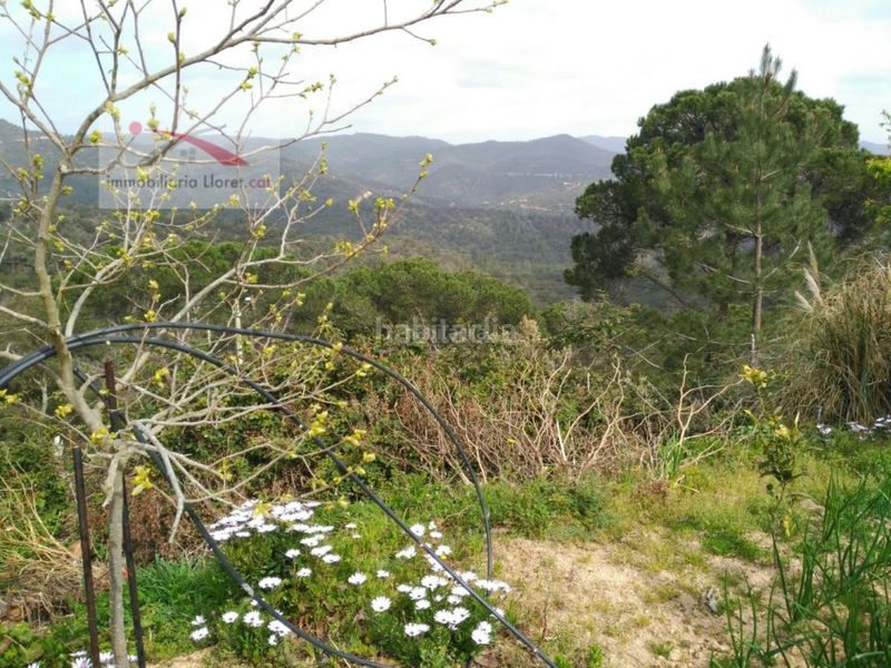 Foto 4d2ac32a-ae7f-4bcd-8a95-df2017699dd5. Terreny residencial a Serra Brava Lloret de Mar