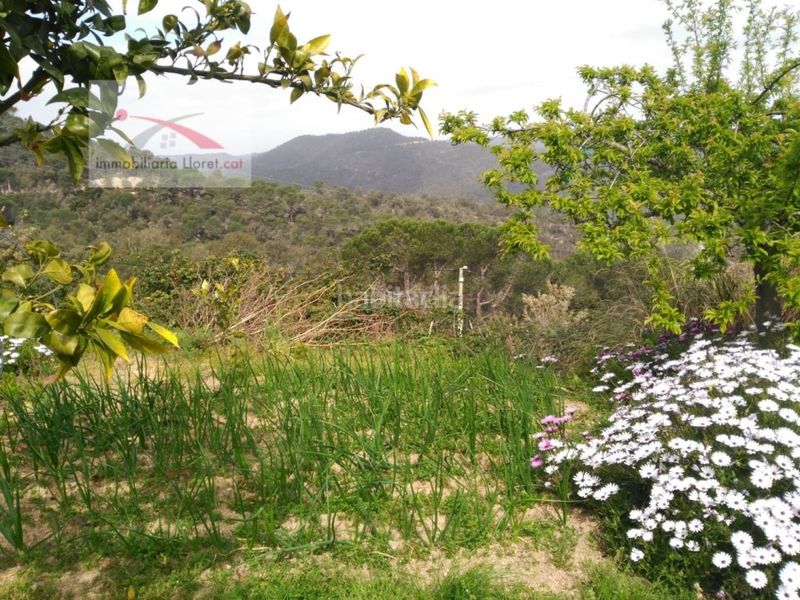 Foto 9f99351d-fb96-48dc-b401-41b90246f7a9. Terreny residencial a Serra Brava Lloret de Mar