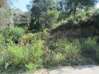 Residential Plot in Carrer figuera 31. Muy soleado en aiguaviva parc