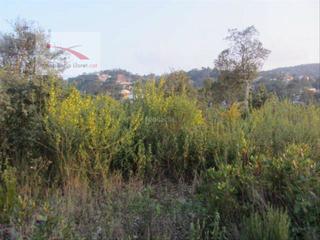 Terreny residencial a Montbarbat. Urb. montbarbat totalmente plano
