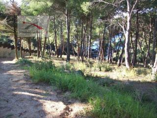 Terreny residencial a Montgoda. Terreno 9000m2 montgoda