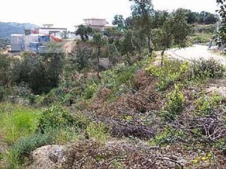 Terreno residencial en Lloret Verd - Els Pinars. Els pinars terreno económico