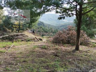 Terreno residencial en Lloret Residencial - Montlloret. Lloret residencial.. terreno plano con buenas vistas.... vista m