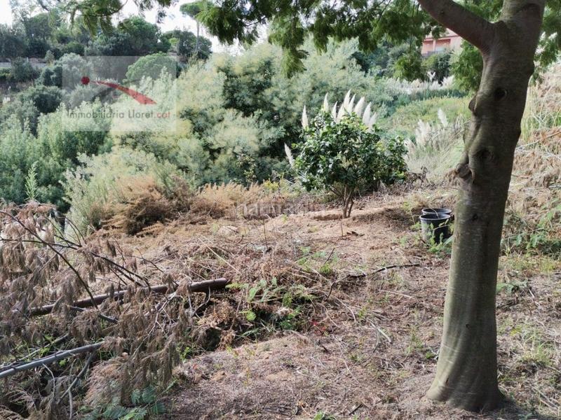 Foto 33fb8ada-0241-412a-9799-24bab45c77f1. Residential plot in Lloret Residencial - Montlloret Lloret de Mar
