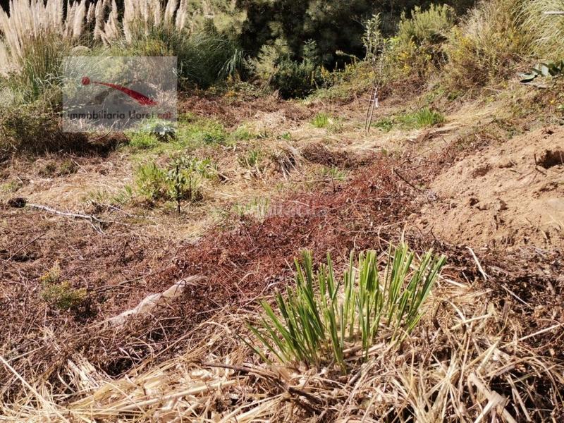 Foto 5ba787a4-0e32-4d73-9e63-fc058a5555ef. Residential plot in Lloret Residencial - Montlloret Lloret de Mar