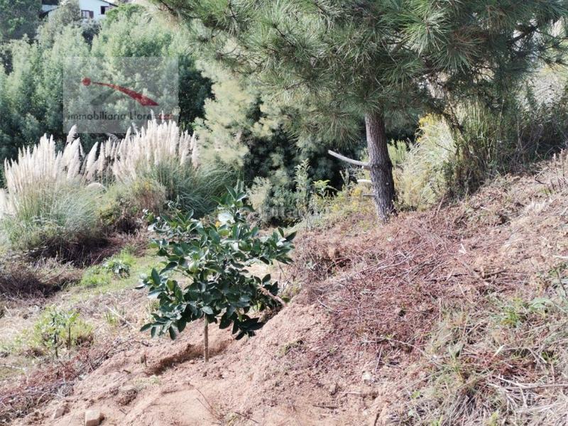 Foto 71ef650a-3cb9-4484-beaf-e3bd3b1f07c6. Residential plot in Lloret Residencial - Montlloret Lloret de Mar