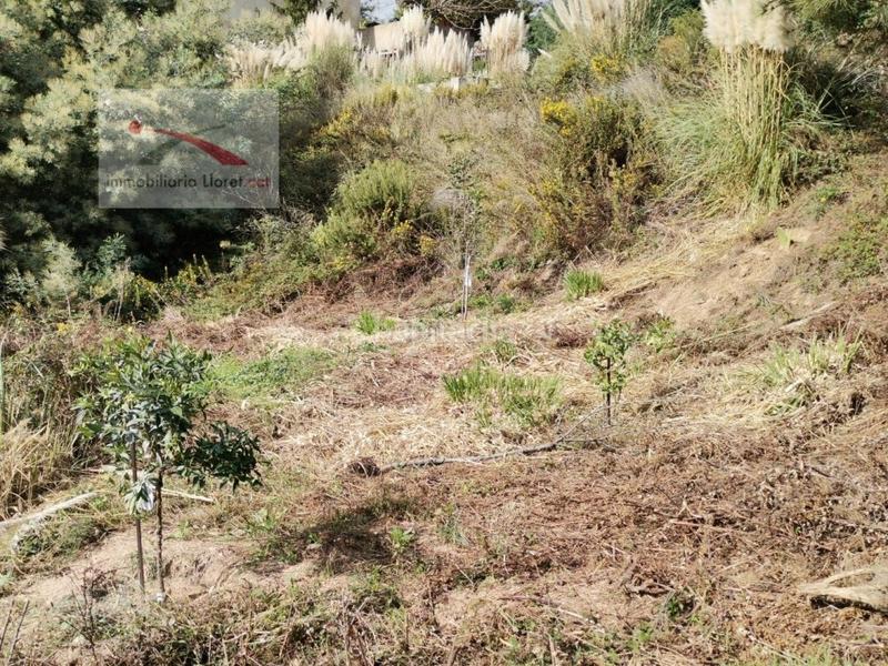 Foto aabe5055-308d-4cbd-bde4-f5b22daec410. Residential plot in Lloret Residencial - Montlloret Lloret de Mar