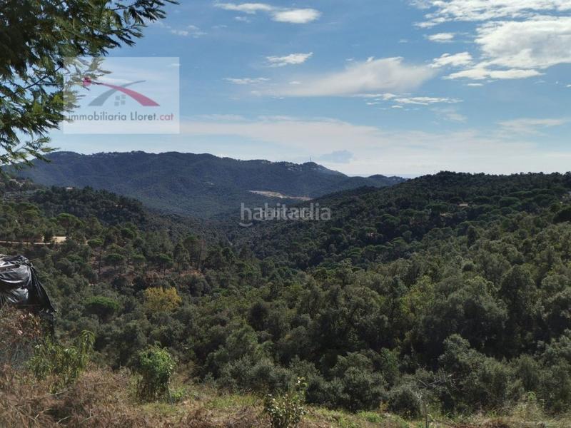 Foto bb289a1c-e25e-4675-9800-91deebfe65c5. Residential plot in Lloret Residencial - Montlloret Lloret de Mar