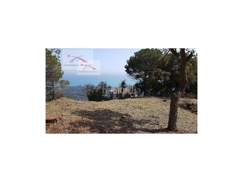 Foto 77e7ac03-660c-4801-9bbb-6dda2ec426d8. Casa amb calefacció aparcament piscina a Roca Grossa Lloret de Mar