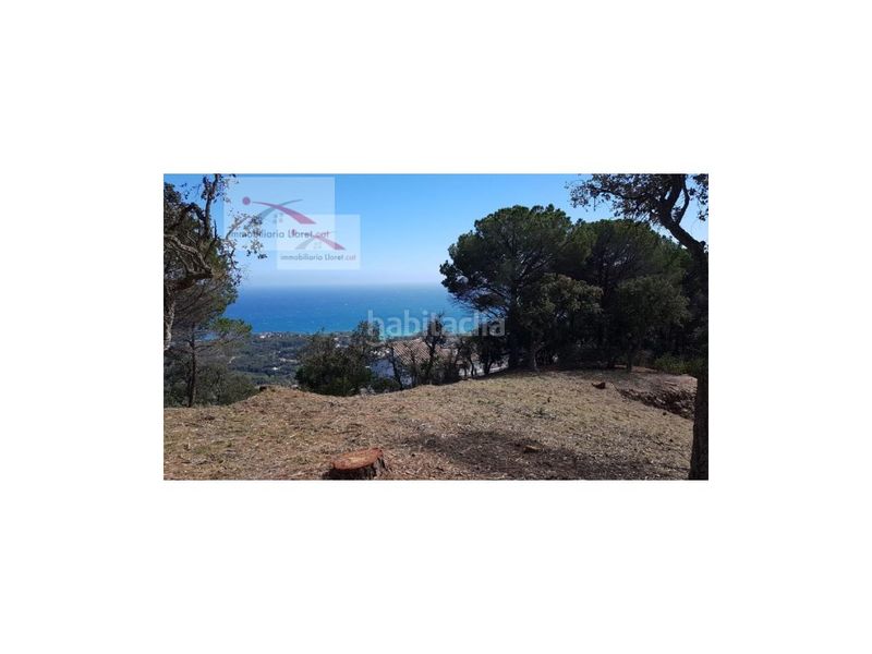 Foto baa89fc1-6cb8-4ab1-b8e2-982b5c0c4ce4. Casa amb calefacció aparcament piscina a Roca Grossa Lloret de Mar