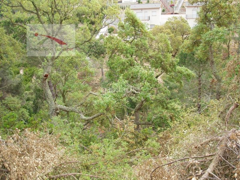 Foto 4f191685-148f-411b-87f9-a8b18c05e3dc. Terreny residencial a Lloret Residencial - Montlloret Lloret de Mar