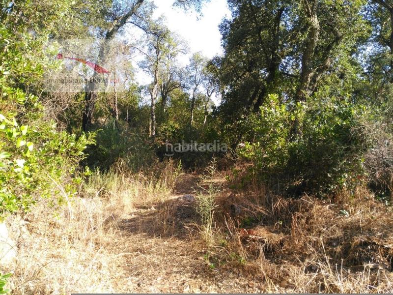 Foto 8ddd0bd4-3455-49a0-9f99-ba2390930a51. Wohngrundstück in carrer la serra longa 59 in Urbanitzacions del Nord Santa Cristina d´Aro