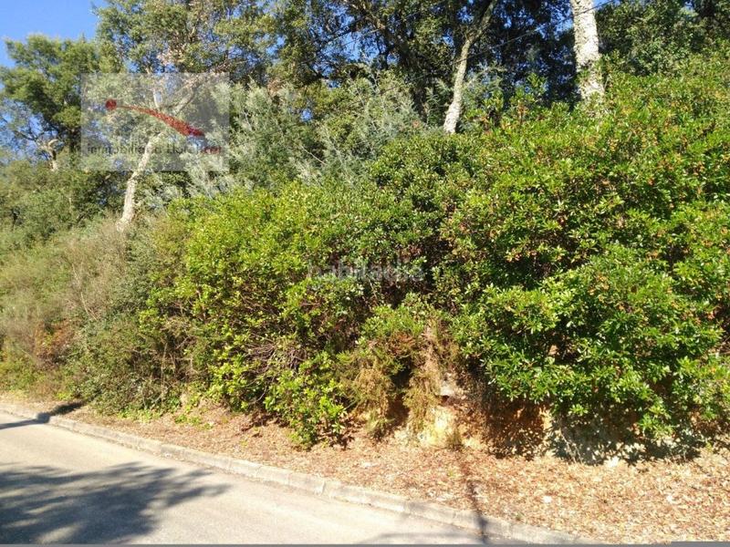 Foto b5ed35d1-fbf3-4737-a476-3a3b6f9dea7d. Wohngrundstück in carrer la serra longa 59 in Urbanitzacions del Nord Santa Cristina d´Aro