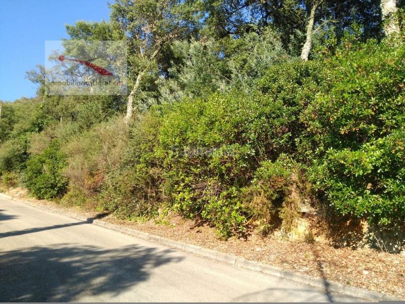 Foto ee8fc936-1f6c-4254-9d6b-eaa24a2829cd. Wohngrundstück in carrer la serra longa 59 in Urbanitzacions del Nord Santa Cristina d´Aro