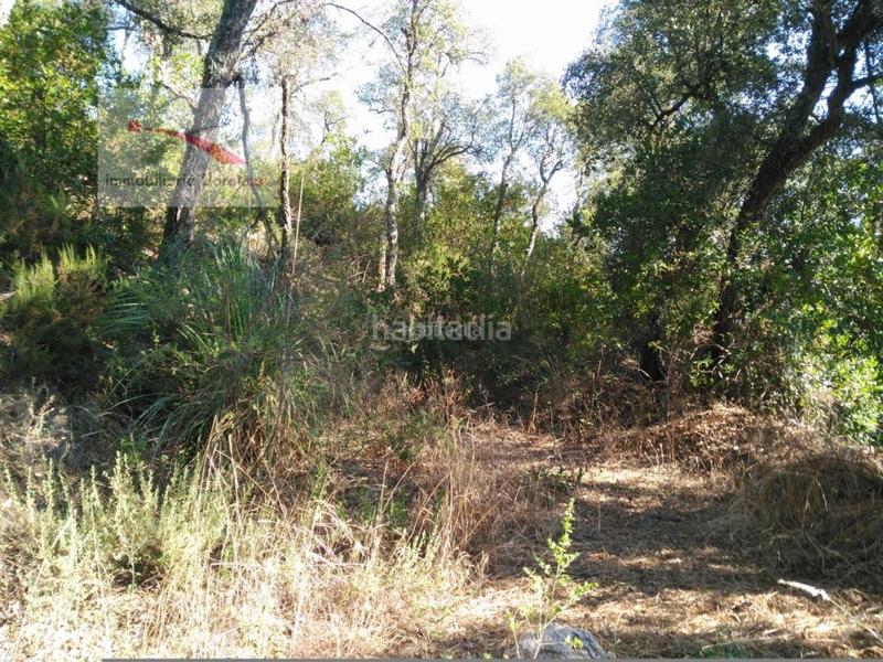 Foto fc6e834c-c90f-4a54-8870-14d011b8088e. Wohngrundstück in carrer la serra longa 59 in Urbanitzacions del Nord Santa Cristina d´Aro