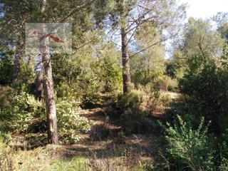 Terreny residencial a Lloret Residencial - Montlloret. Urb. lloret residencial... terreno a 2 calles