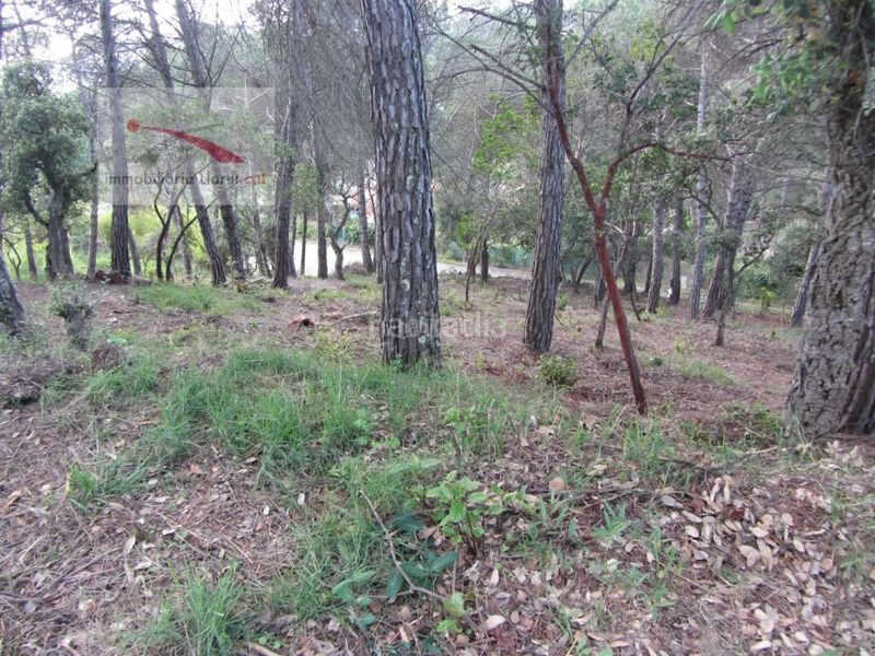 Foto 3424d5de-c6b6-4ba8-a270-c6a8d0e8a9dd. Terreny residencial a Llagostera