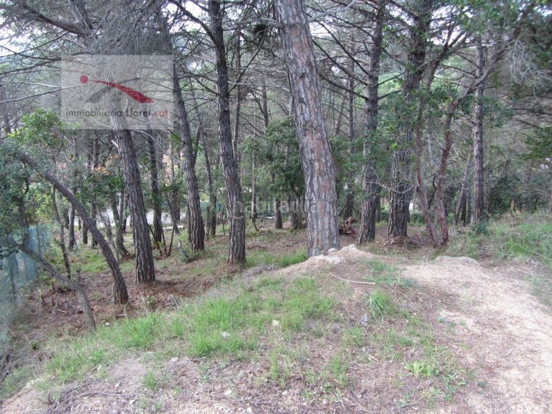 Foto 46ca6fca-614c-46fa-ada0-43e8d009dd1f. Terreny residencial a Llagostera