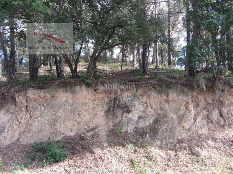 Foto 5d00bddd-787c-4eb2-9db4-ce8f2d400562. Terreny residencial a Llagostera